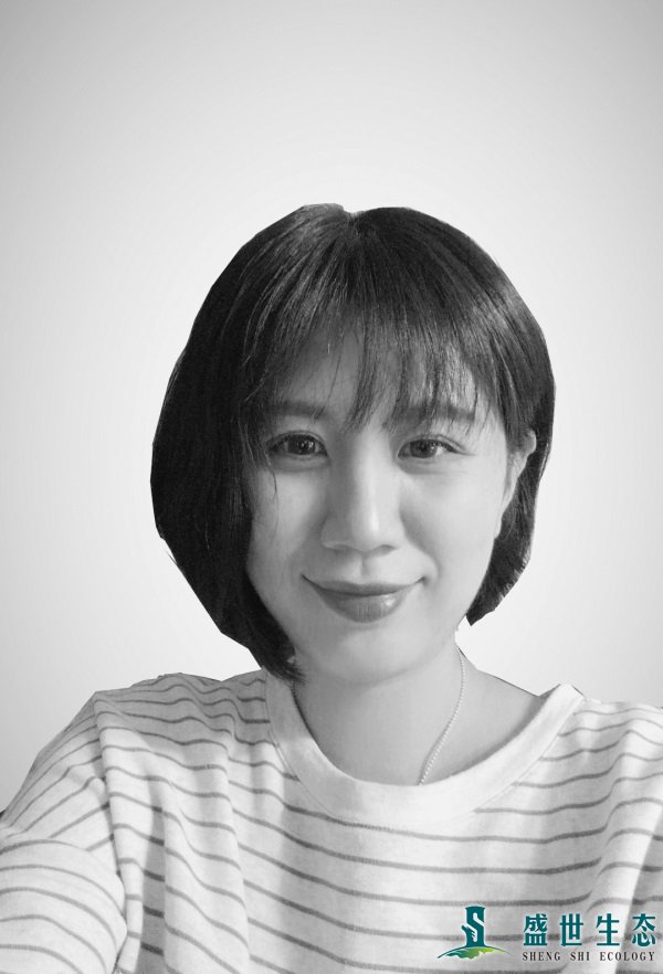 杨柳
